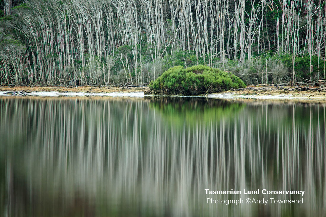 Tasmanian Land Conservancy :The Big Punchbowl Reserve credit Andy Townsend