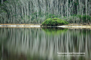 Tasmanian Land Conservancy :The Big Punchbowl Reserve credit Andy Townsend